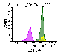 Figure 2. Flow cytometric analysis of a normal blood sample after immunostaining with GM-4133 (Lysozyme-PE)